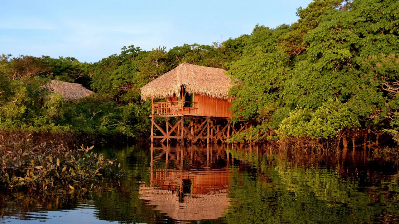 Vi har 4 overnatninger i Amazonas. Foto Viktors Farmor