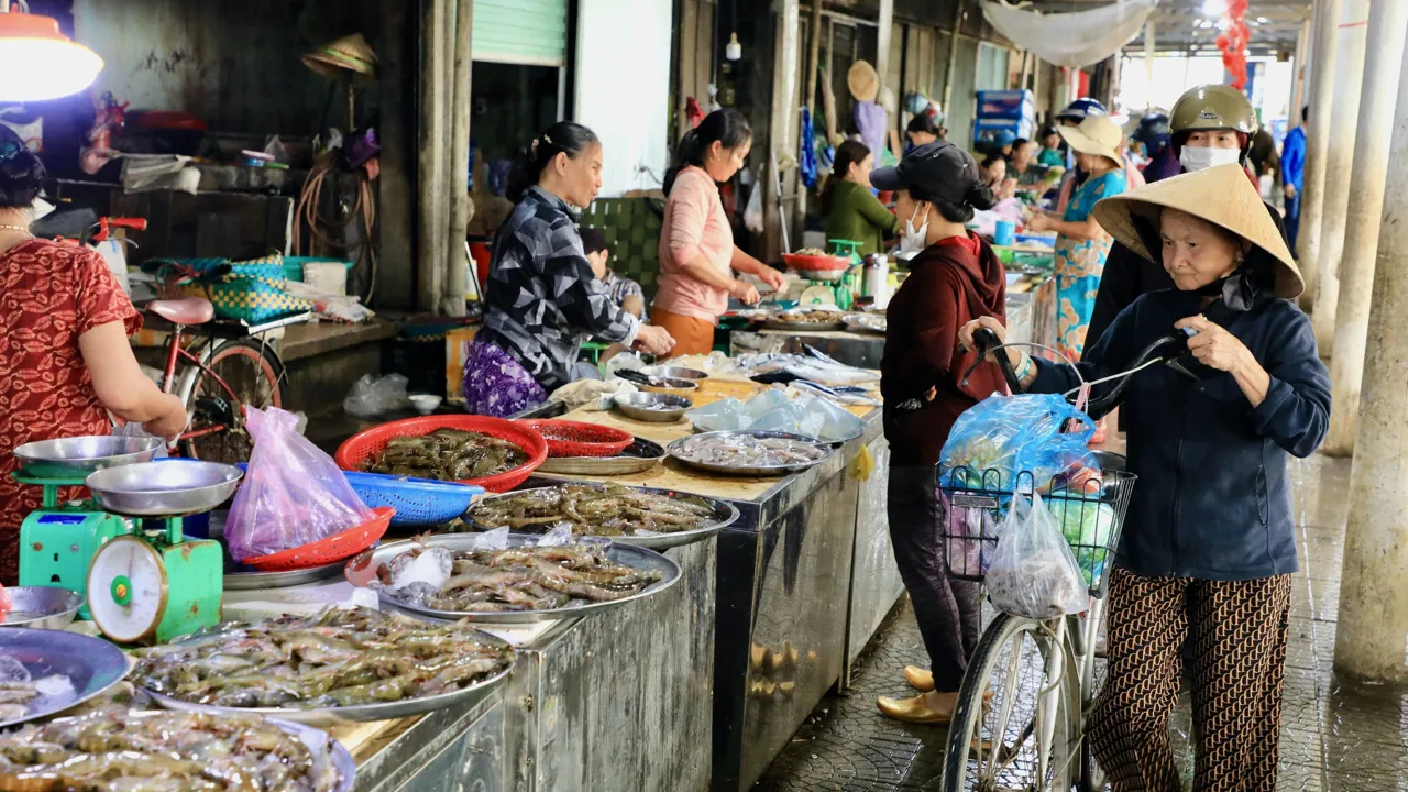 Fisk til salg på Dong Ba Market i Hue. Foto af Anders Stoustrup