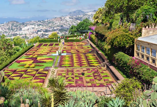 Vi bliver klogere på Madeiras flora, når vi besøger Jardim Botanico. Foto Viktors Farmor