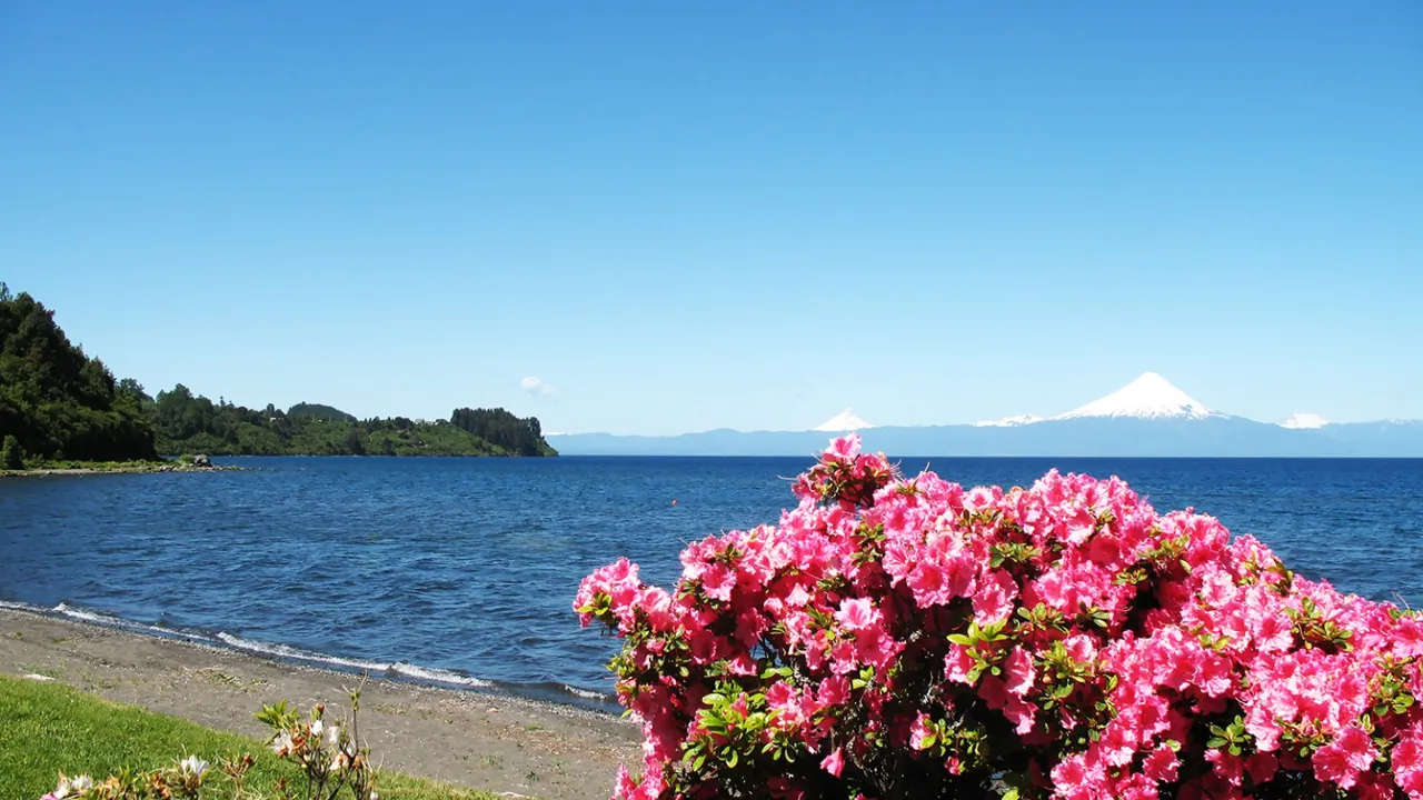 Osorno vulkanen set fra øen Chiloé. Foto Viktors Farmor