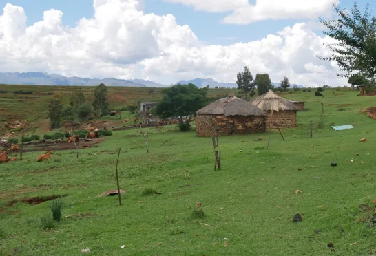 Landsbyhytter med kvæg og eroderede marker i Lesotho. Foto Steen Ramsgaard