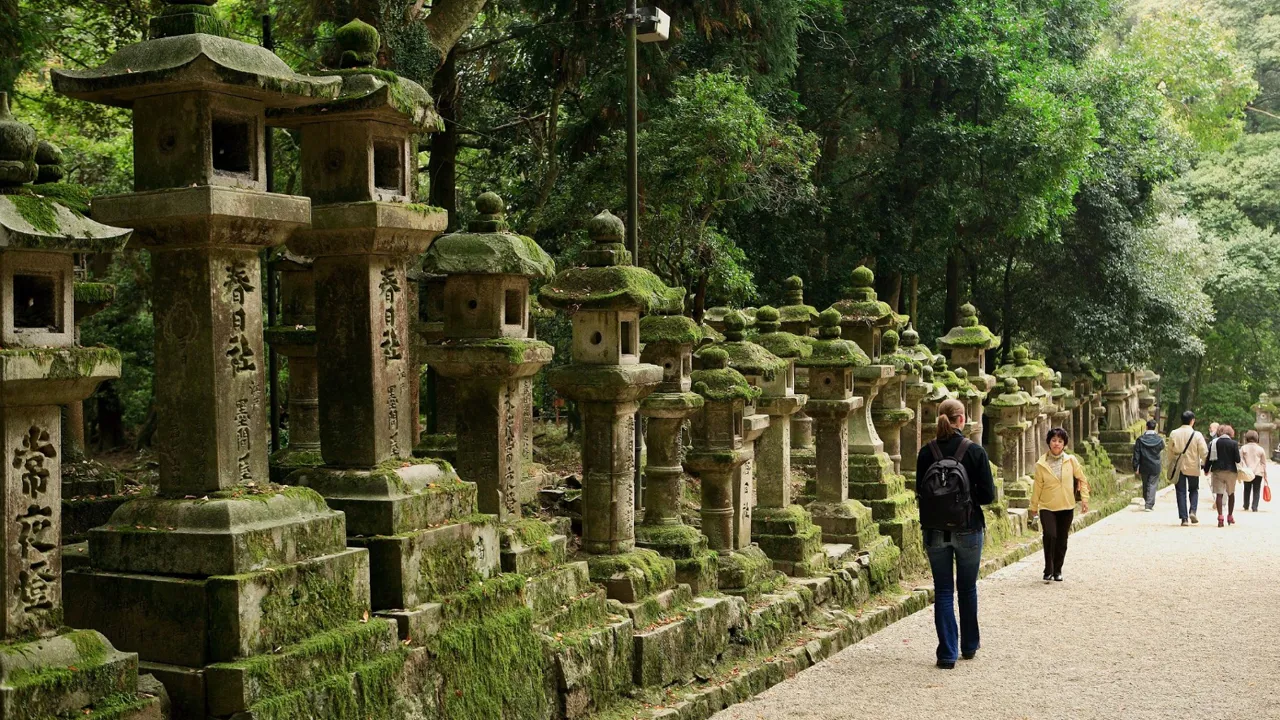 Stierne i Nara er flere steder flankeret af stenlanterner. Foto Anders Stoustrup