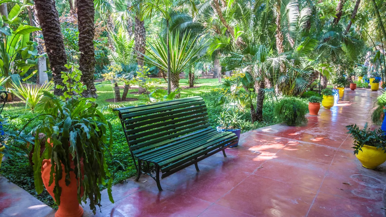 Majorelle-haverne i Marrakesh er åndehuller i den farverige storby. Foto Viktors Farmor