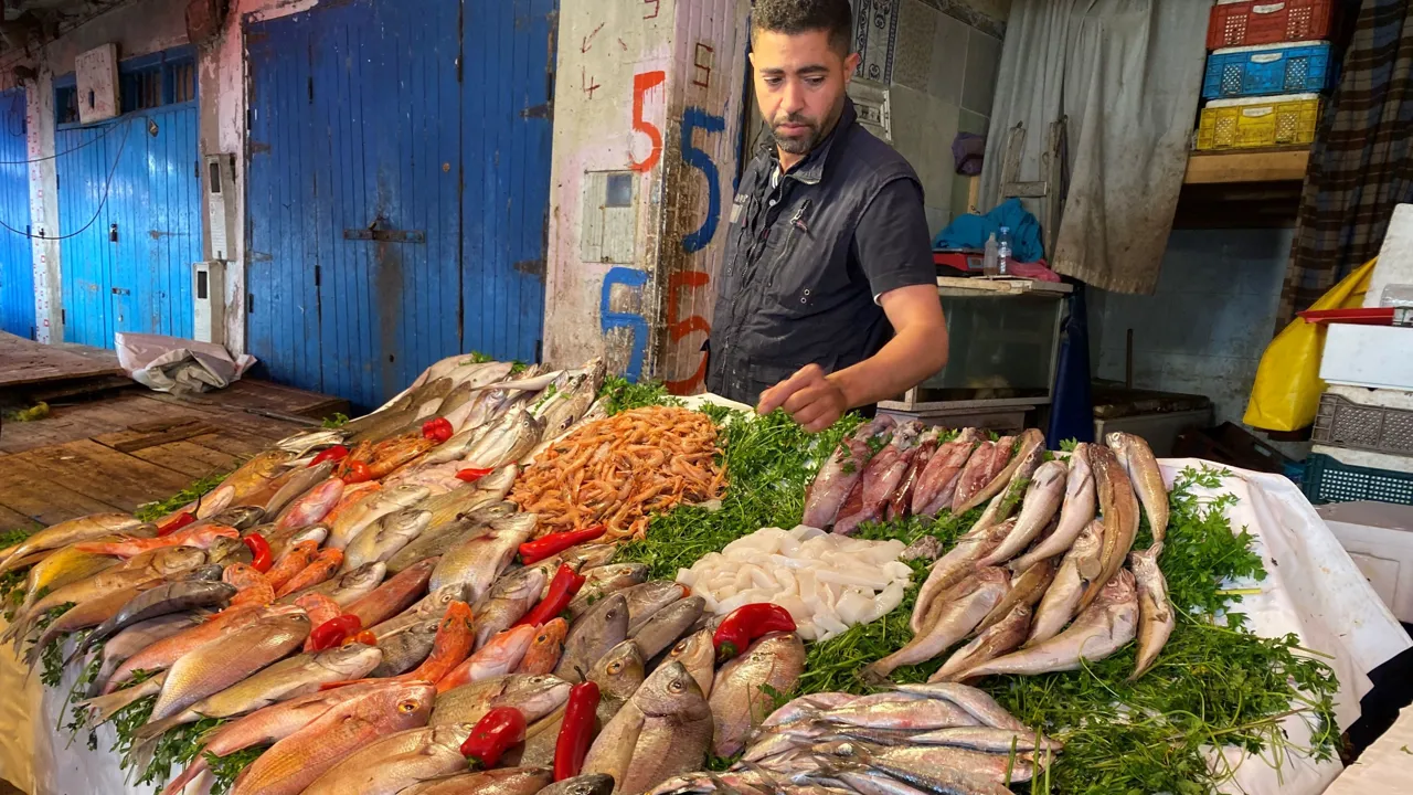 Med Marokkos over 3500 km kystlinje til Atlanterhavet, er der god grund til, at der sælges mange fisk og laves mange fiskeretter. Foto Michael Høeg