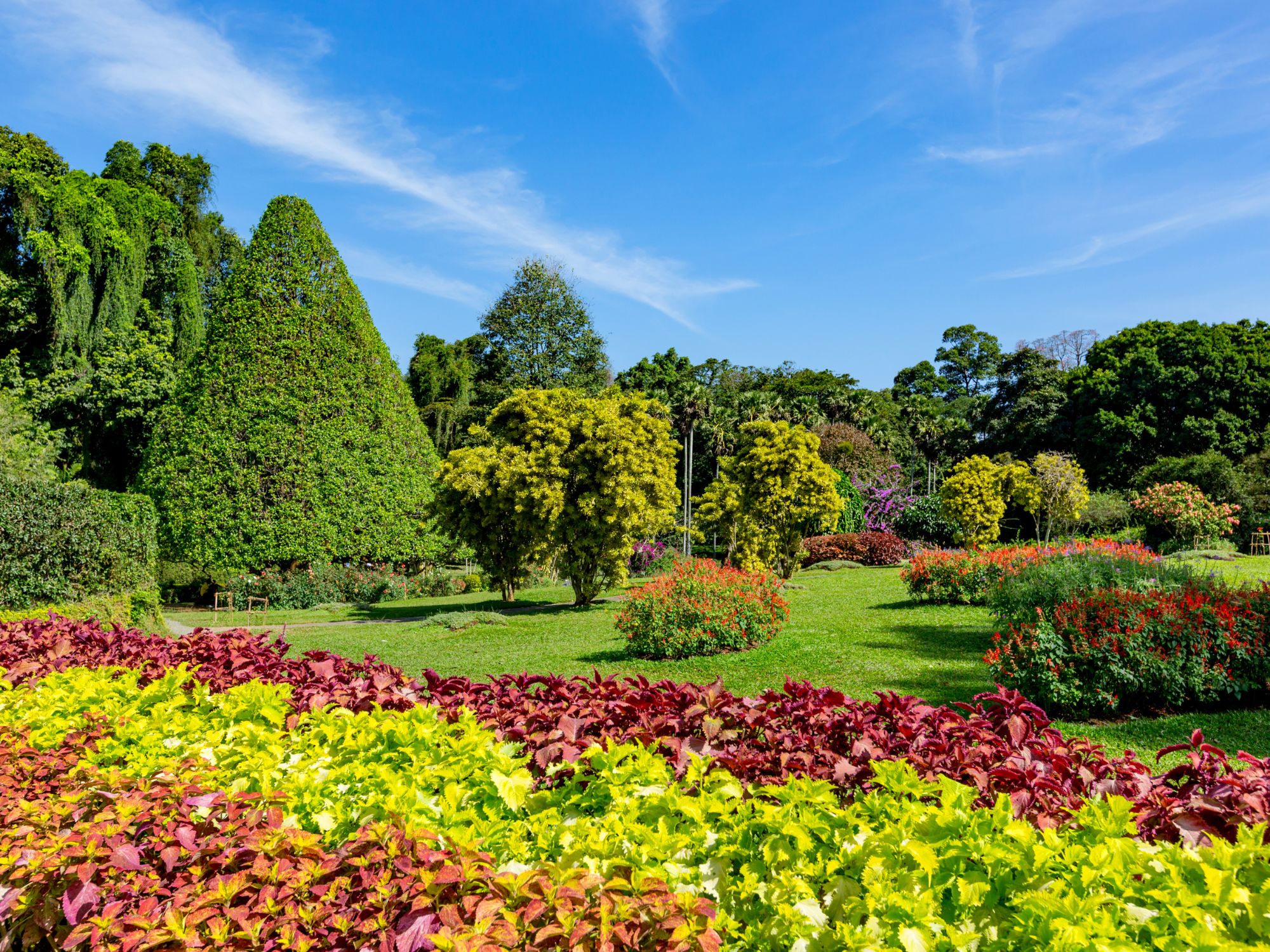 Kandys botaniske have rummer mere end 4.000 plantearter. Foto Viktors Farmor