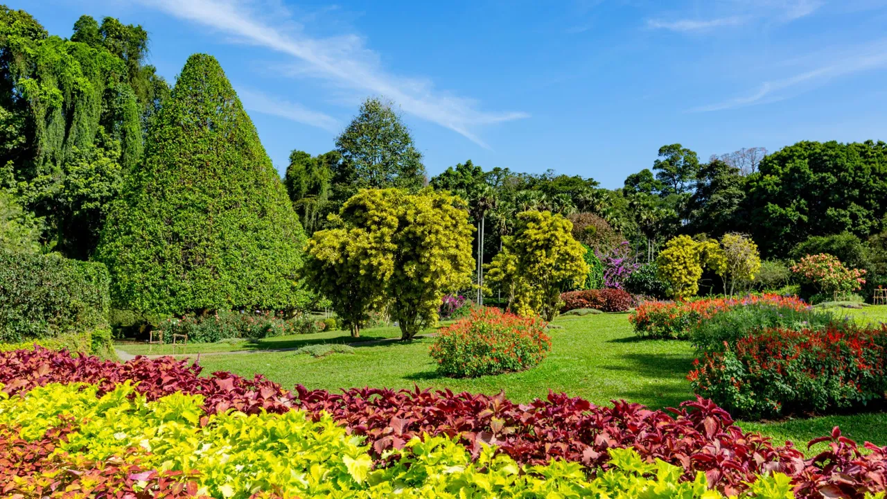 Kandys botaniske have rummer mere end 4.000 plantearter. Foto Viktors Farmor