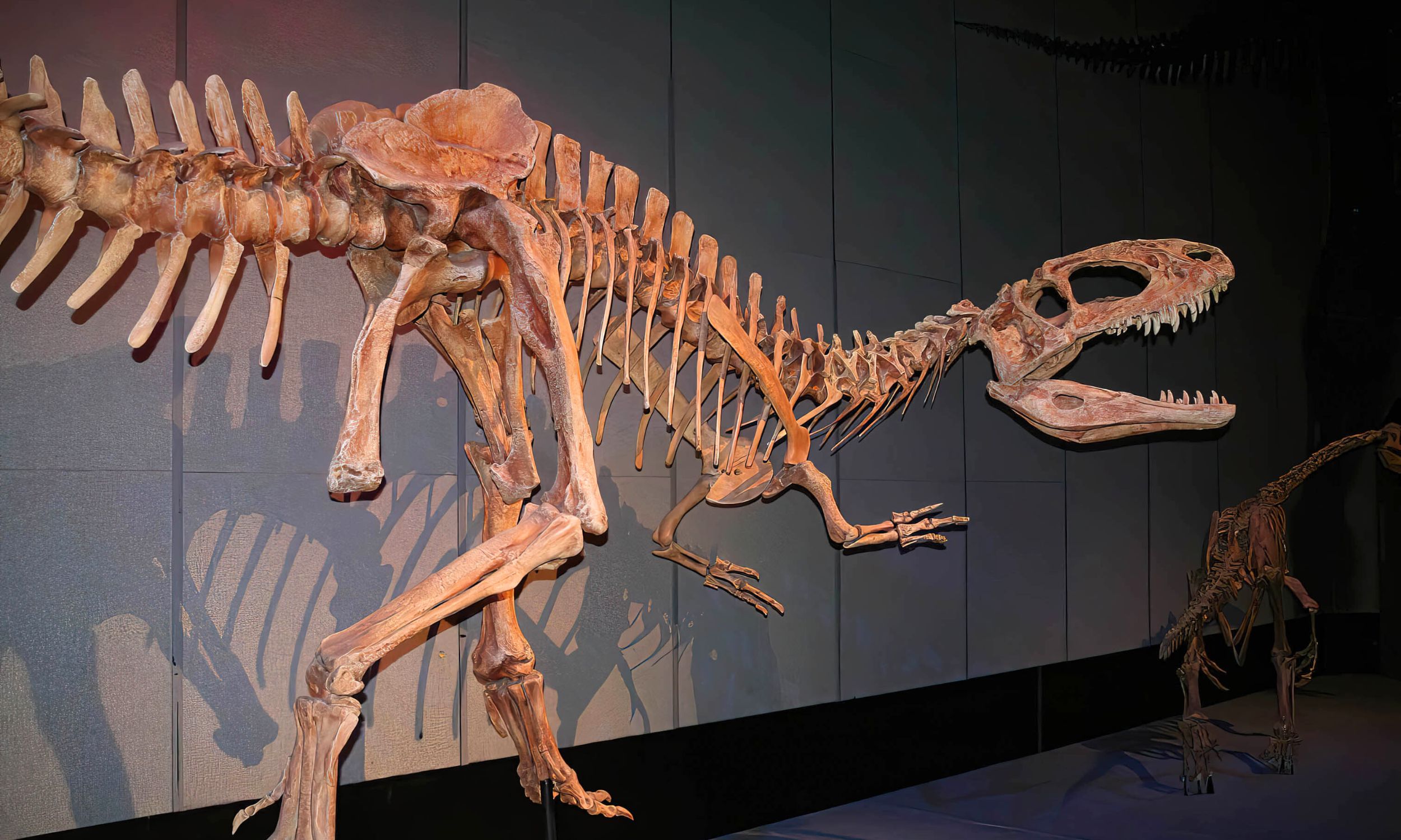 Royal Tyrell Museum i Drumheller med den store samling af dinosaurfossiler. Foto Viktors Farmor