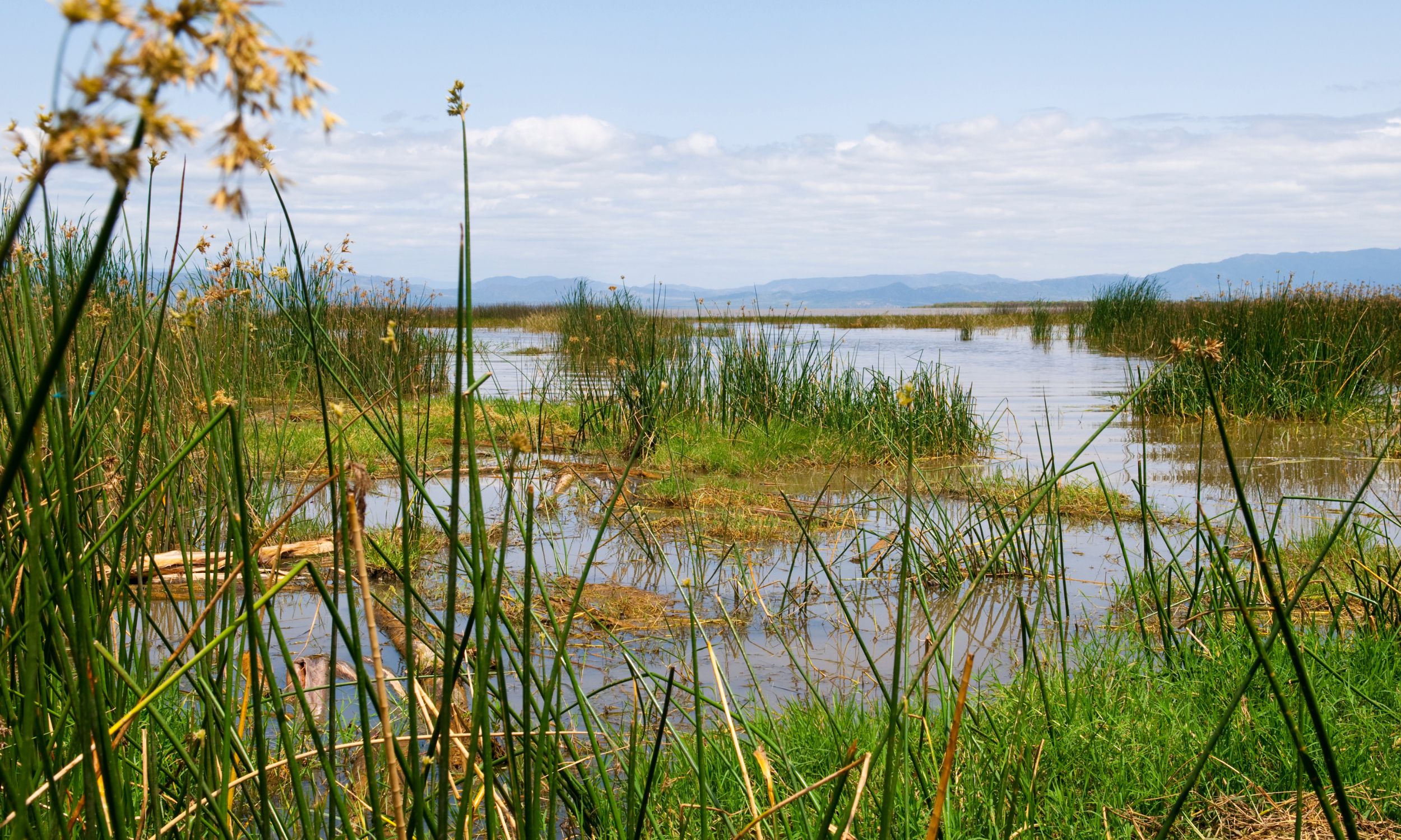 Den flotte Chamo-sø, som vi skal ud at sejle på. Foto Viktors Farmor