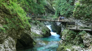 Vintgar er en malerisk kløft i nærheden af bled, der skærer sig ned mellem næsten lodrette klipper. Foto Anders Stoustrup