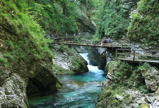 Vintgar er en malerisk kløft i nærheden af bled, der skærer sig ned mellem næsten lodrette klipper. Foto Anders Stoustrup