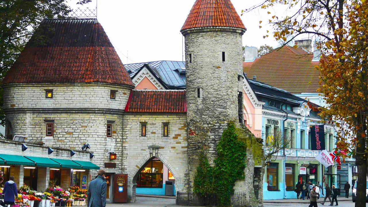 Tallinns bymur blev bygget i det 13. århundrede. Tilbage står der 1,85 km mur, 26 tårne og to byporte. Foto Viktors Farmor