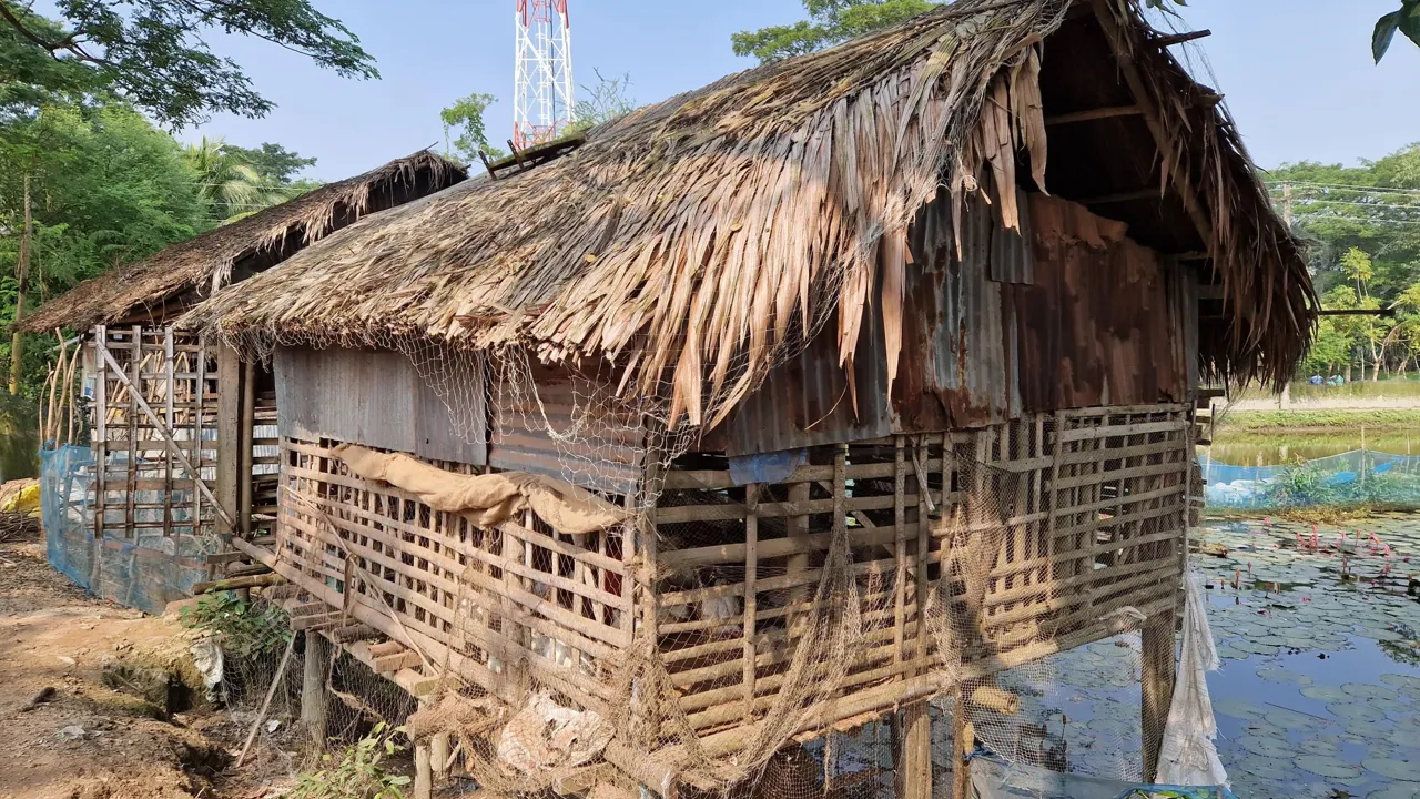 Vi besøger adskillige landsbyer og oplever livet på landet i Bangladesh. Foto af Helle Lefevre 
