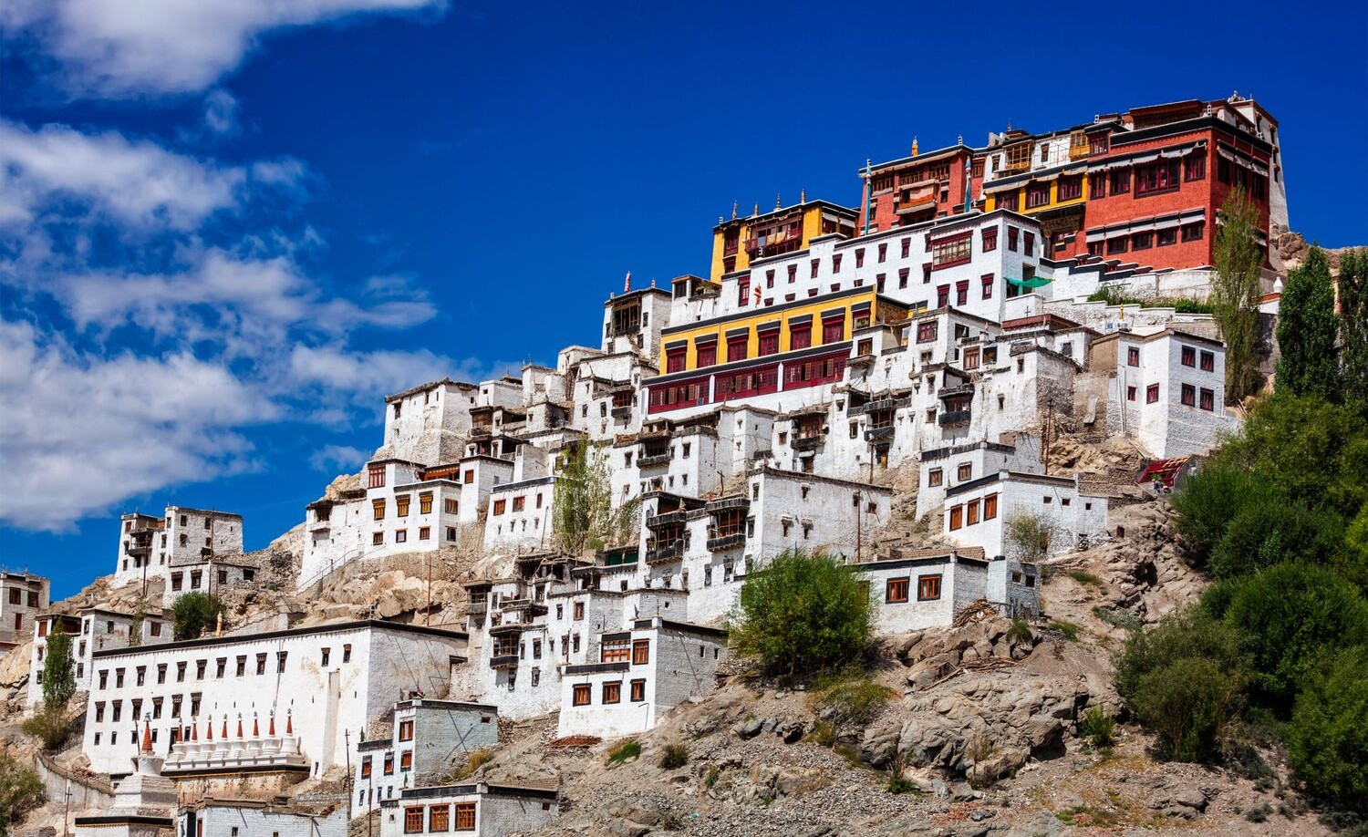 Vi oplever morgenrutinen i det store Thiksey kloster. Foto Viktors Farmor
