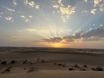 Ved solnedgangens magiske time indhylles Wahiba Sands i et varmt, gyldent skær. Foto Ellen Brzost Lindby-Andersen