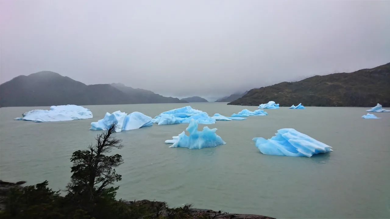 Blå isbjerge ved Grey gletsjeren i Torres Del Paine. Foto Michael Andersen