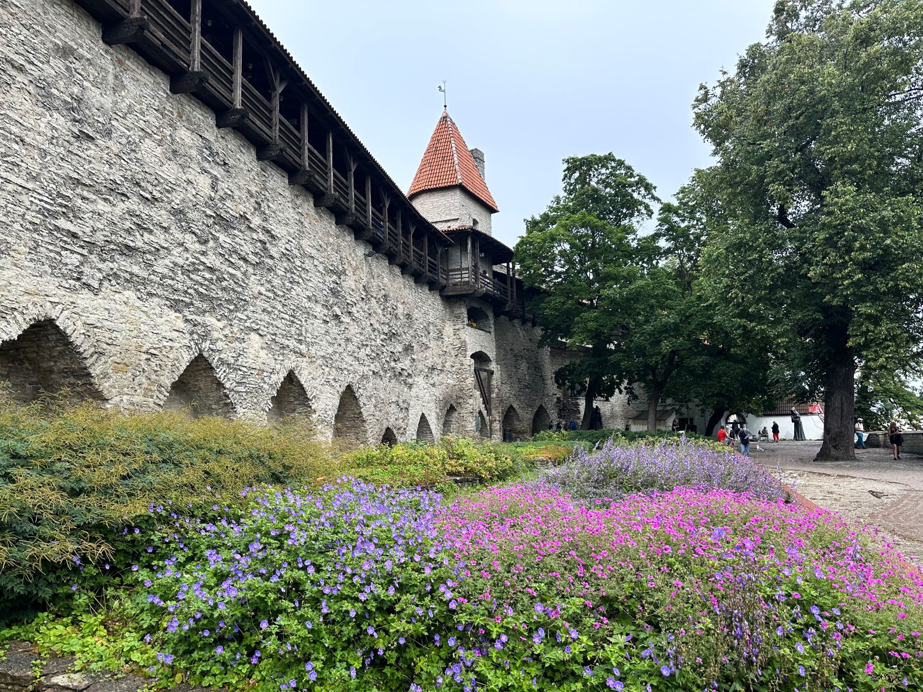 Den Danske Konges Have hvor Dannebrog ifølge legenden faldt ned fra himlen. Foto Morten H. Nielsen