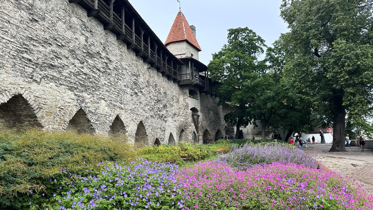 Den Danske Konges Have hvor Dannebrog ifølge legenden faldt ned fra himlen. Foto Morten H. Nielsen