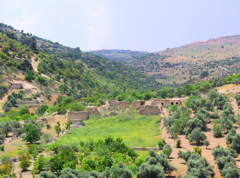 Der er meget frodigt og grønt i det nordlige Jordan om foråret. Foto Viktors fFarmor