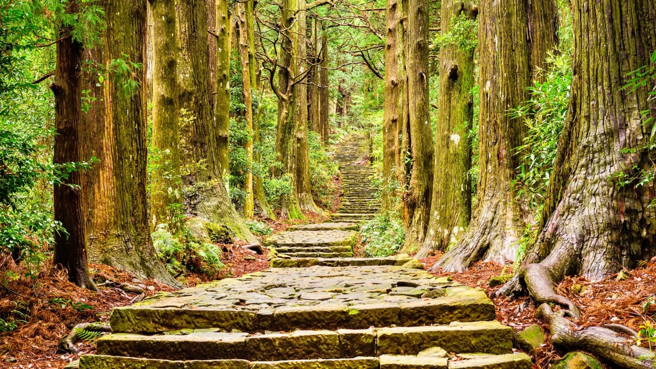 Kumano Kodo har i mere end 1.000 år været blandt Japans vigtigste pilgrimsruter. Foto Viktors Farmor