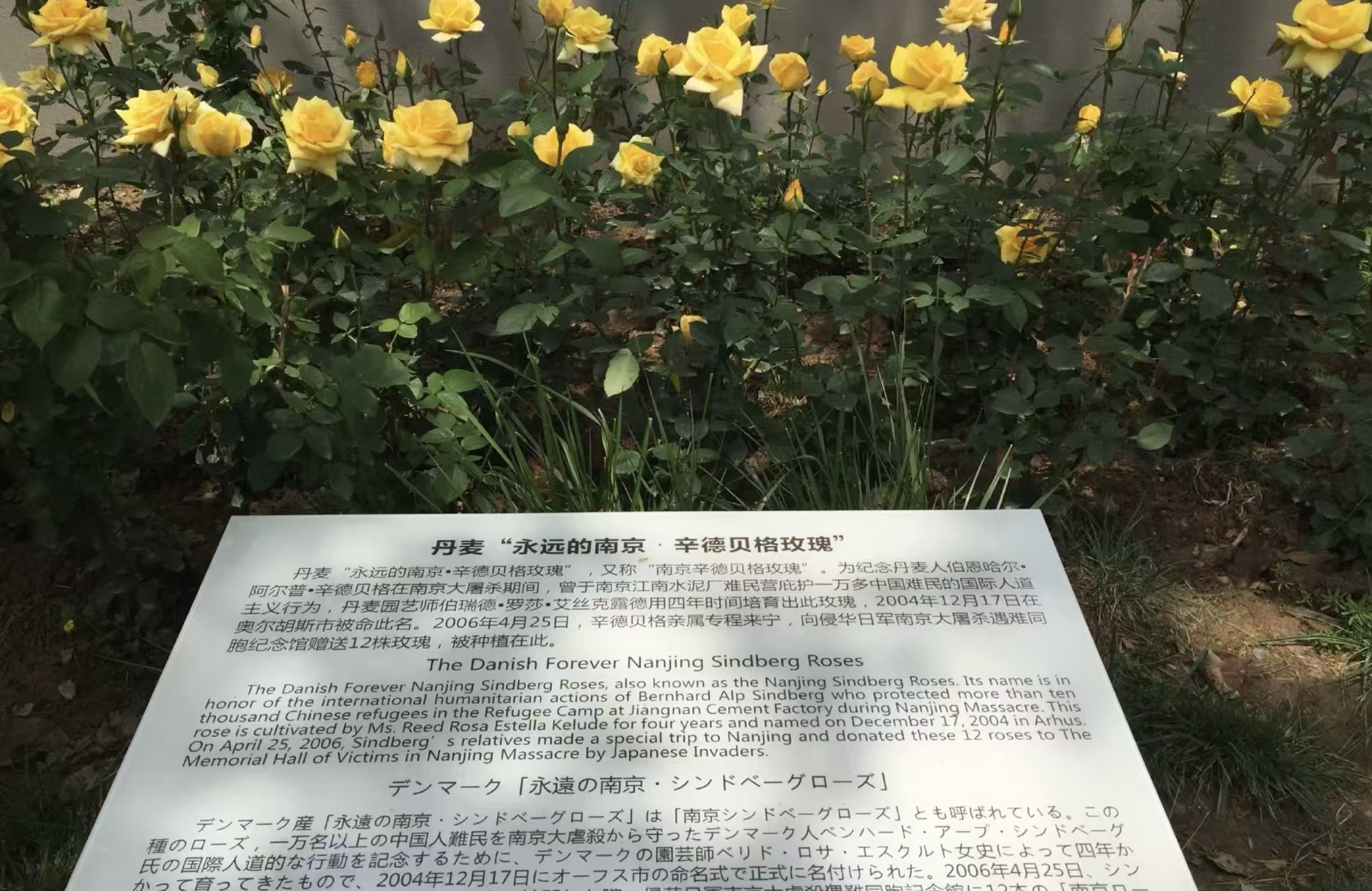 På Nanjing Massacre Museum finder vi den danske vinkel. Foto Viktors Farmor