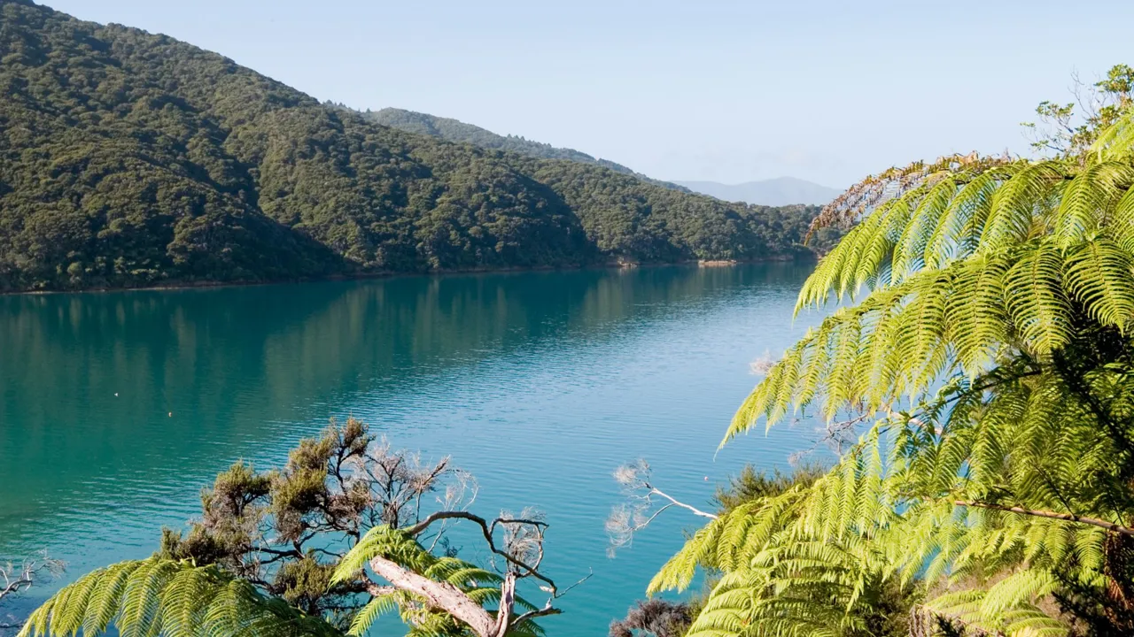 Vi sejler langs forrevne bjergsider i Queen Charlotte Sound. Foto Viktors Farmor