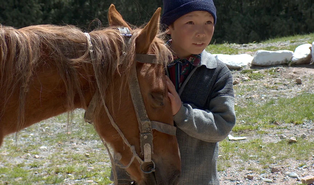 I Kirgisistan spiller hesten stadig en stor rolle i dagligdagen. Foto Søren Bonde