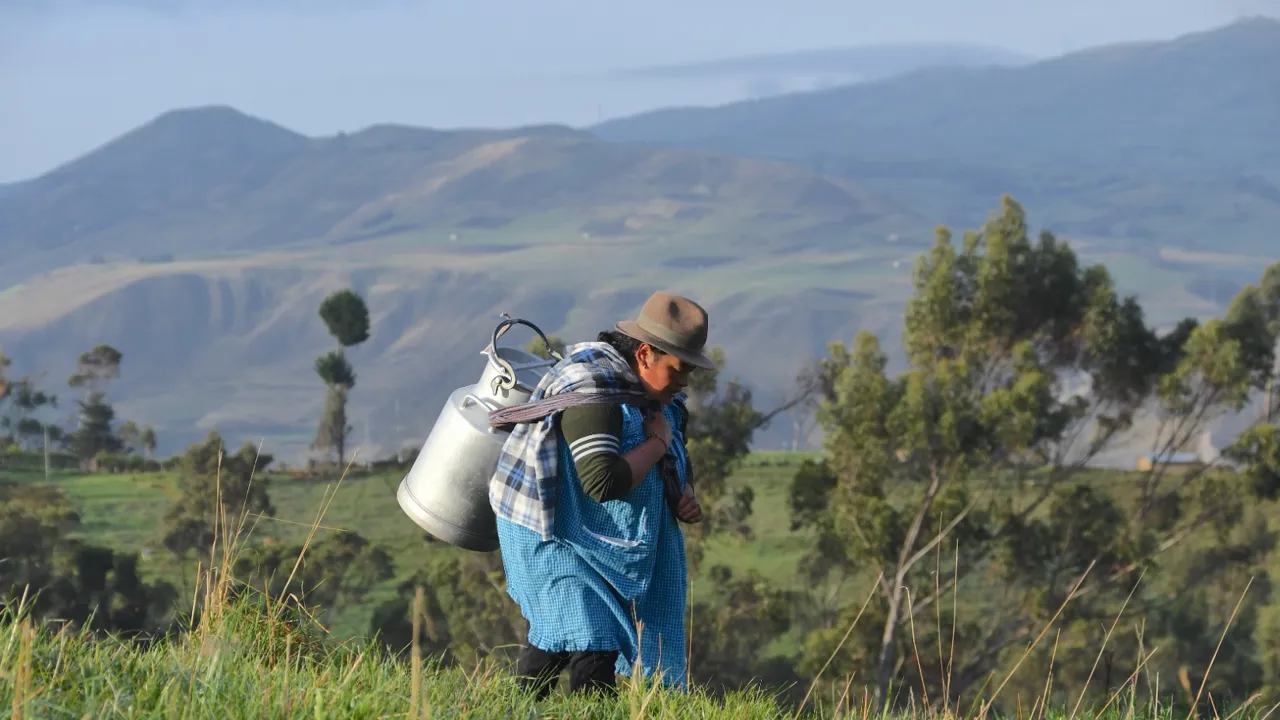 Mælken bæres ud til vejen tidligt om morgenen ved Incapirca. Foto Hanne Christensen