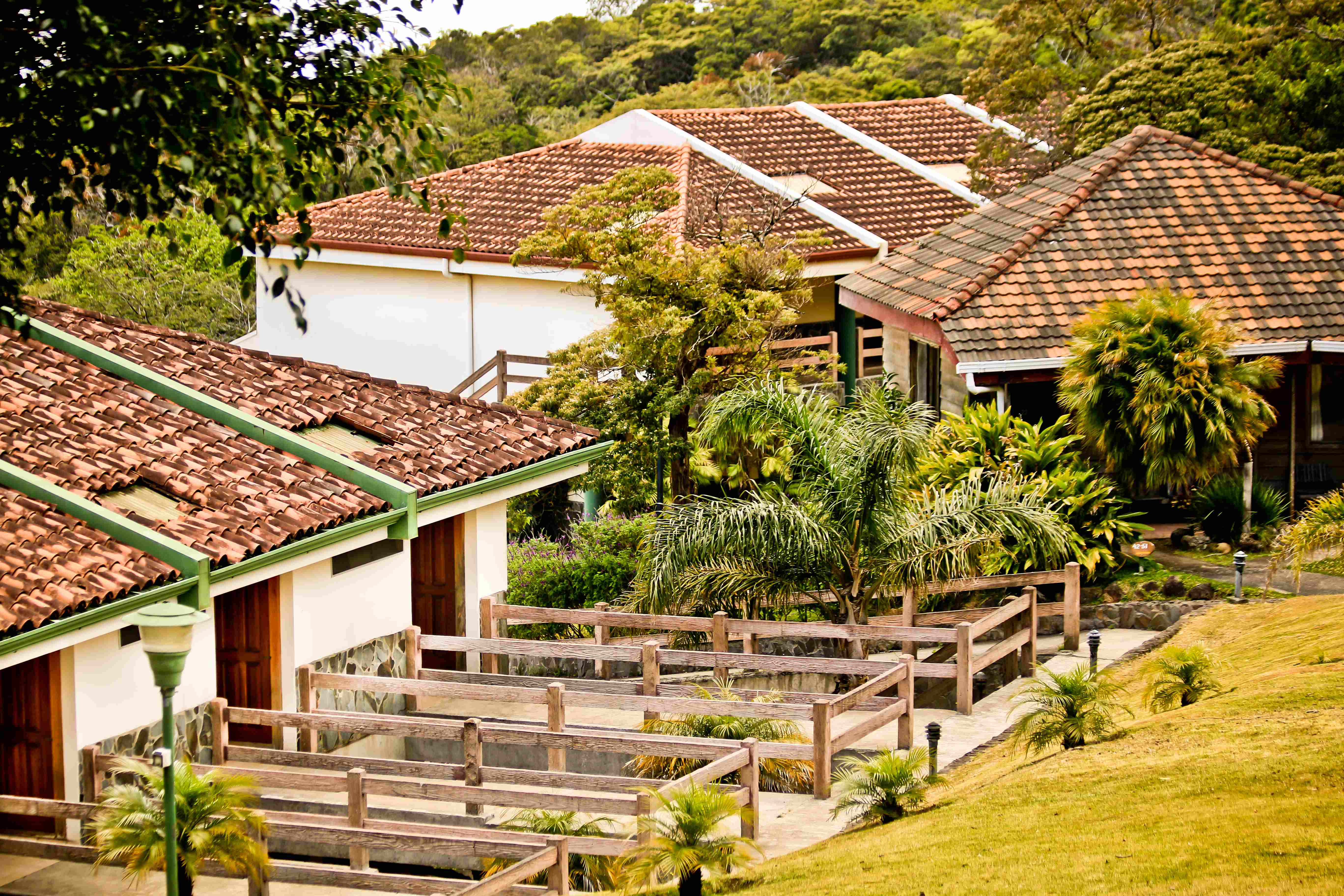 Hyggeligt 3-stjernet bjerghotel i hjertet af Monteverde – tæt på vandrestier, skoven og dyreliv. 