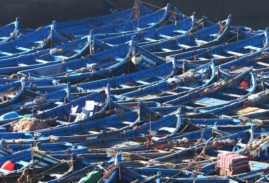 Blå er den gennemgående farve i kystbyen Essaouira, selv fiskernes joller har denne farve. Foto Claus Pehrsson
