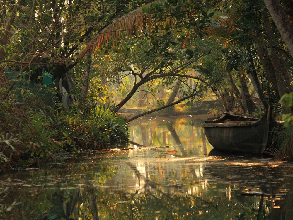 De mange små kanaler ved Alleppey giver et indblik i, hvordan livet lokalt er tilpasset vandvejene. Foto Viktors Farmor