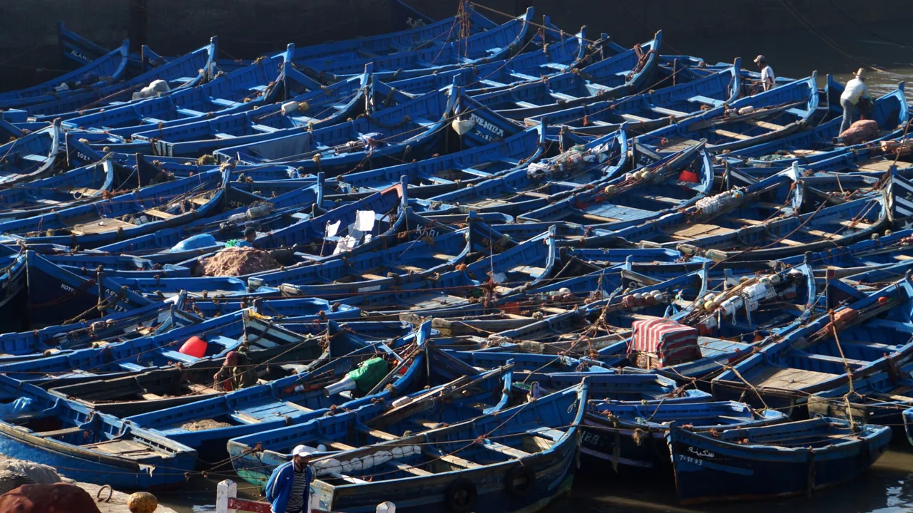 Et yndet foto-motiv i Essaouira er de små blå fiskerbåde i fiskerihavnen. Foto Claus Pehrson