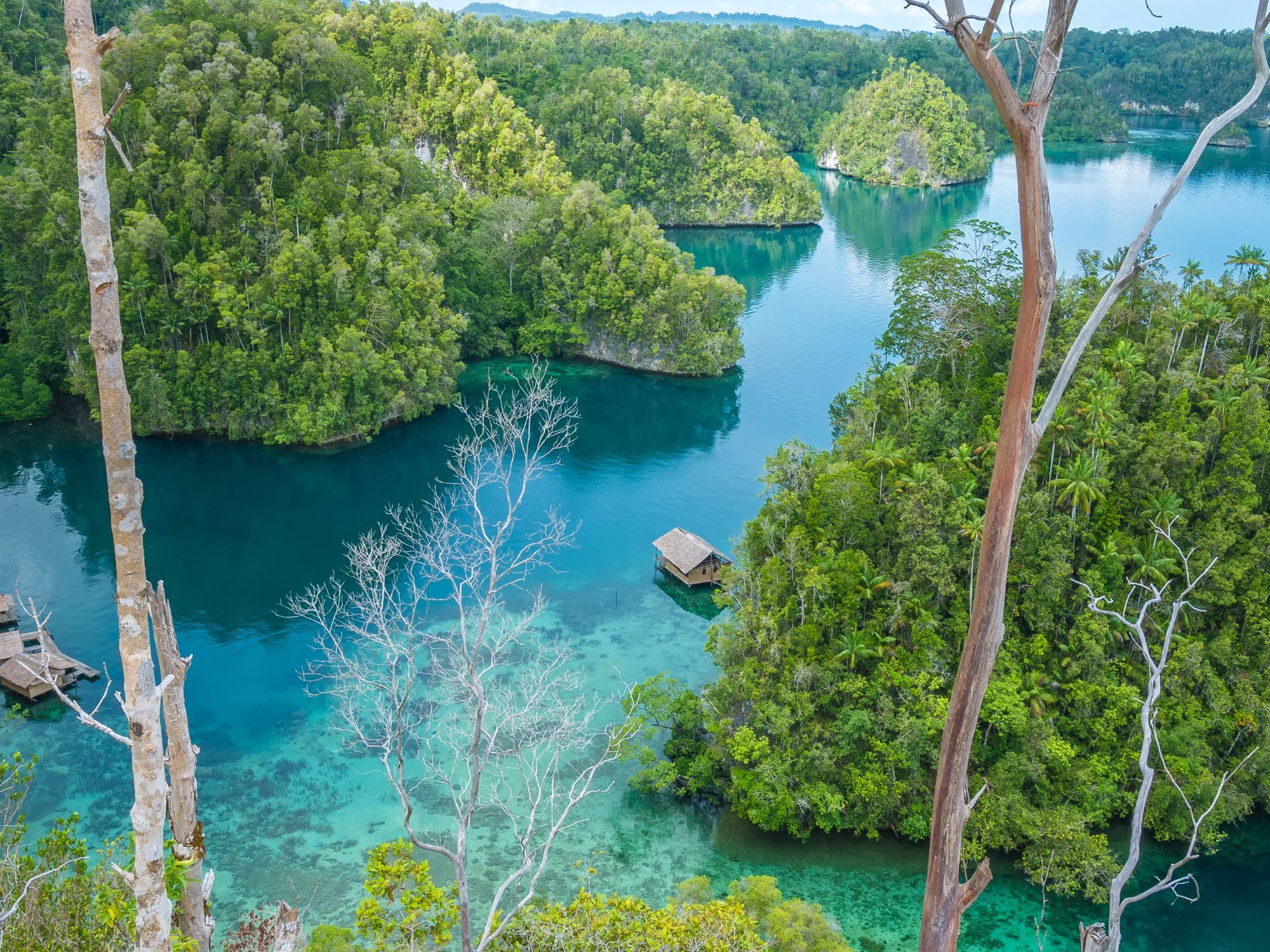 Krystalklart vand ved Kabui Bay. Foto Viktors Farmor
