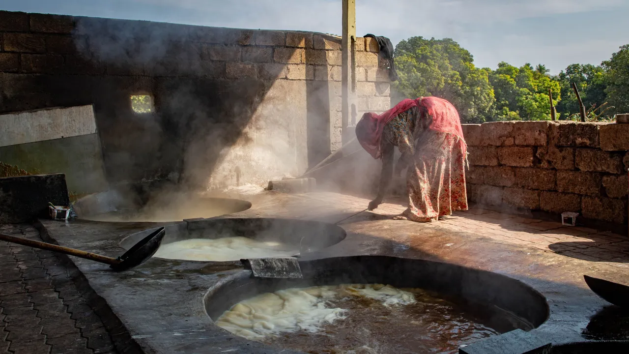 Sukker koges på traditionel vis til den lokale specialitet kaldet jaggery. Foto Viktors Farmor
