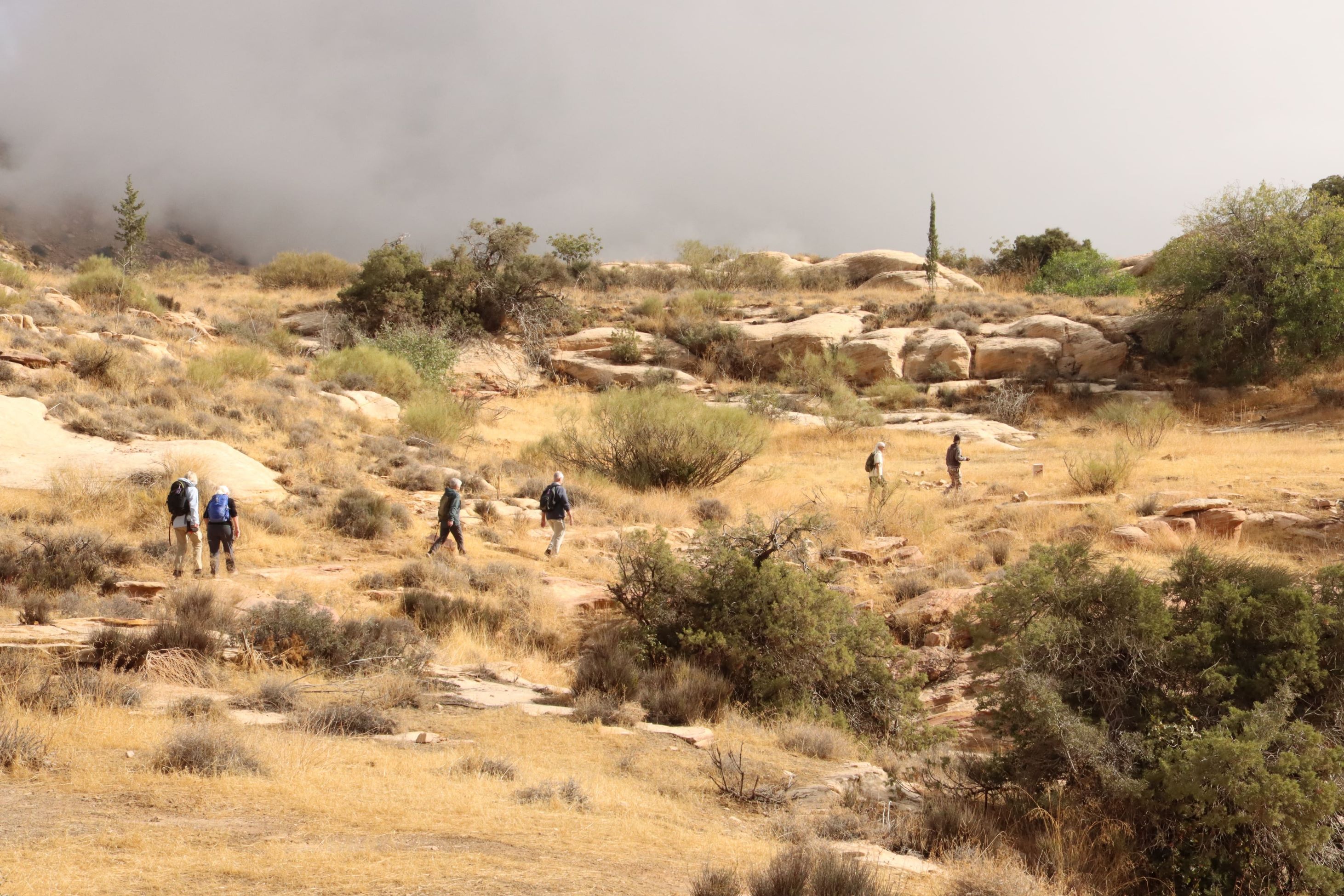 Dana Naturreservat er et fantastisk naturområde. Foto Denise Kristensen
