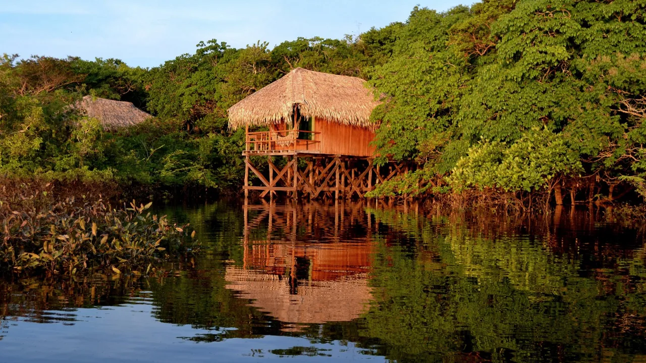 Vi har 4 overnatninger i Amazonas. Foto Viktors Farmor