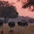 Malawi