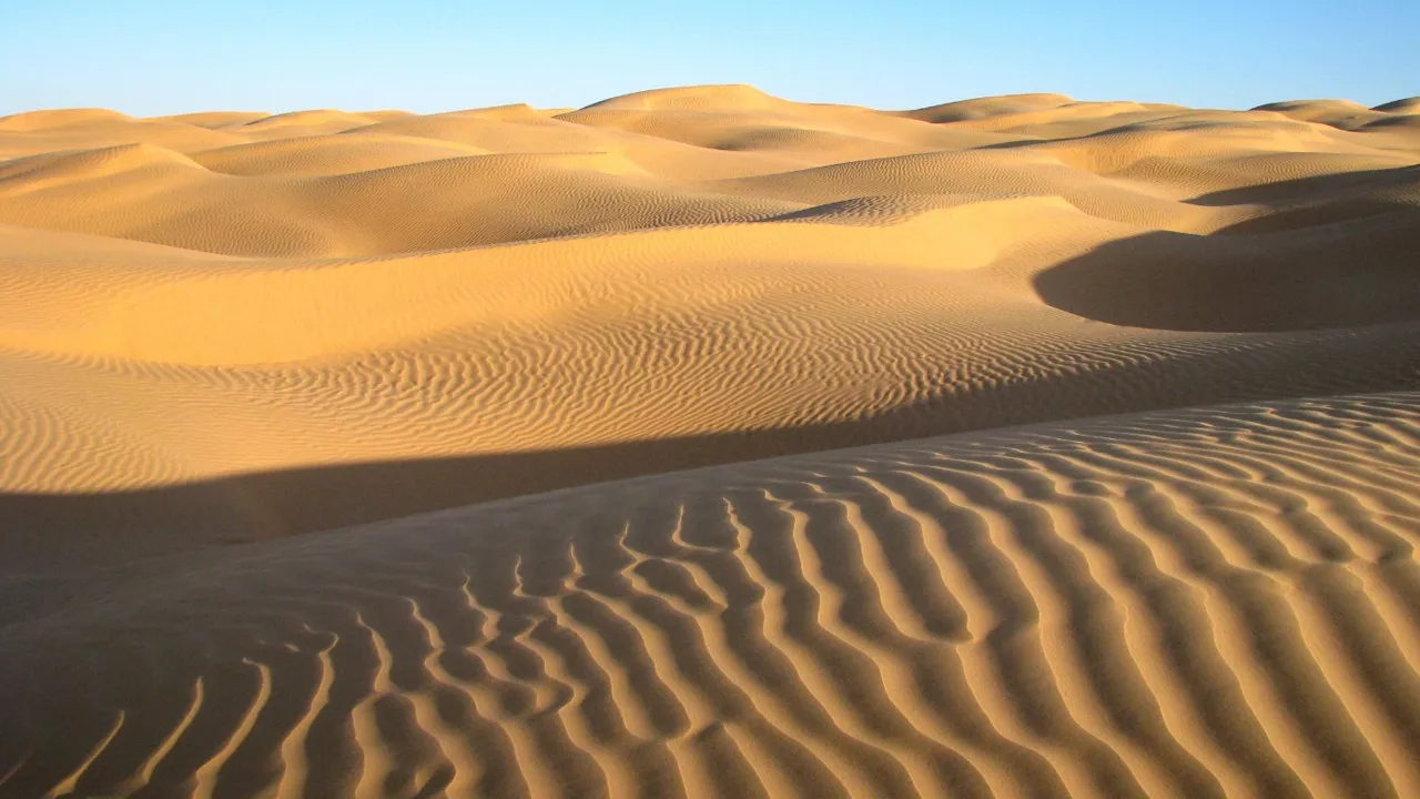 De flotte gyldne sanddyner i Sahara. Foto Jytte Krogsbøl