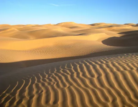 De flotte gyldne sanddyner i Sahara. Foto Jytte Krogsbøl