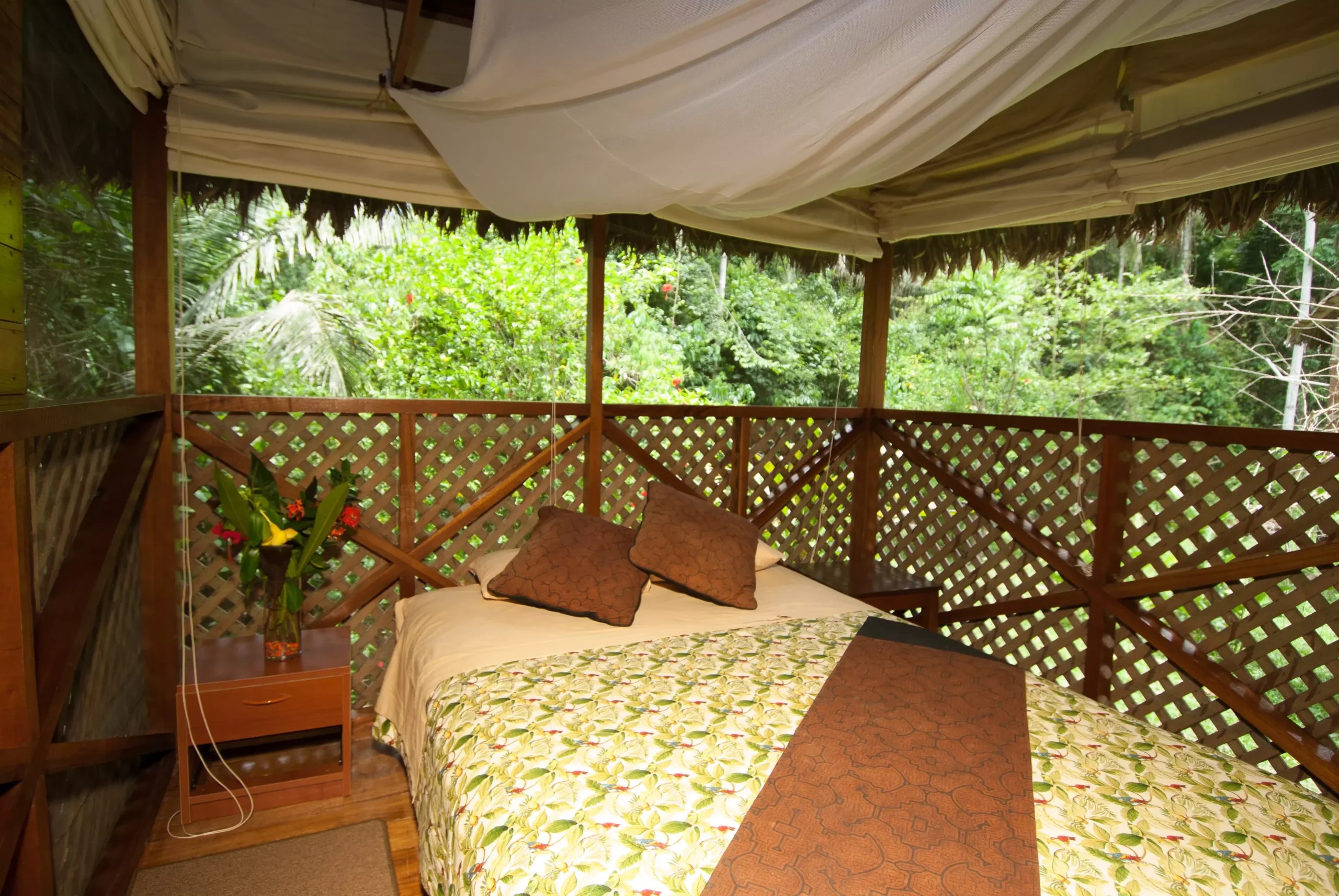 6. manu wildlife center, amazonas