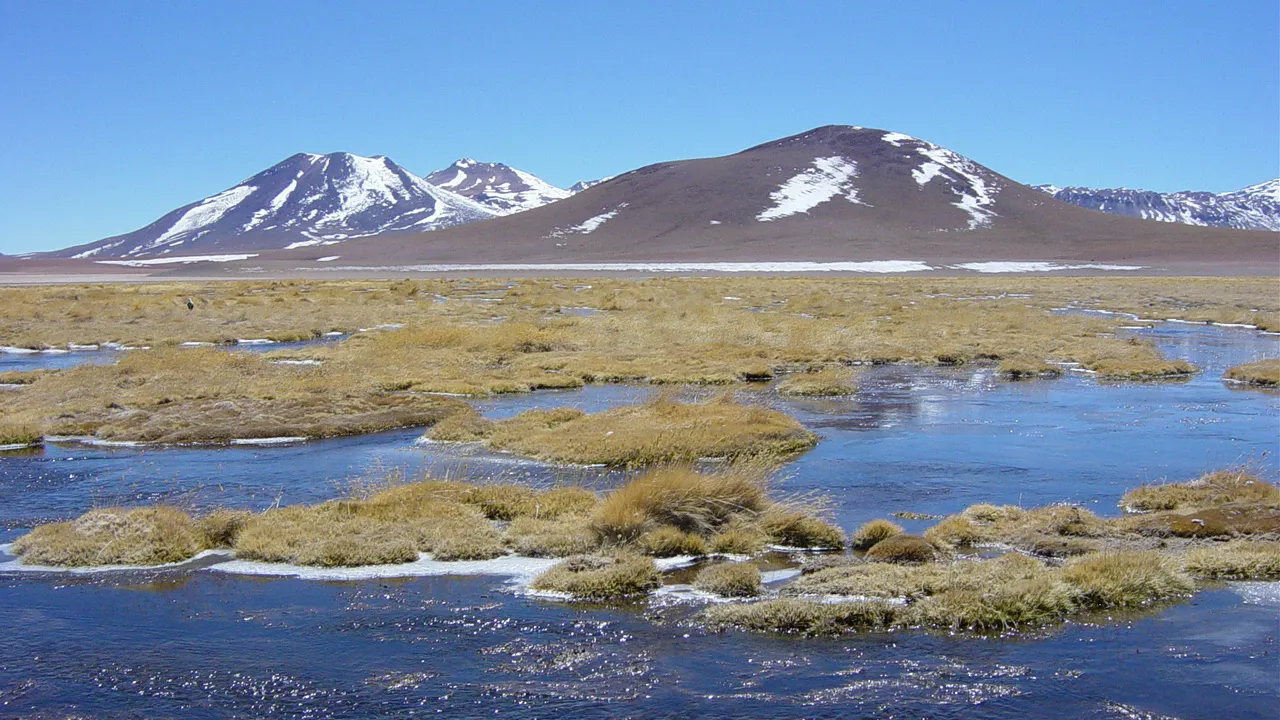 El Tatio gejserne ligger i et geotermisk område flankeret af bjergtoppe. Foto Viktors Farmor