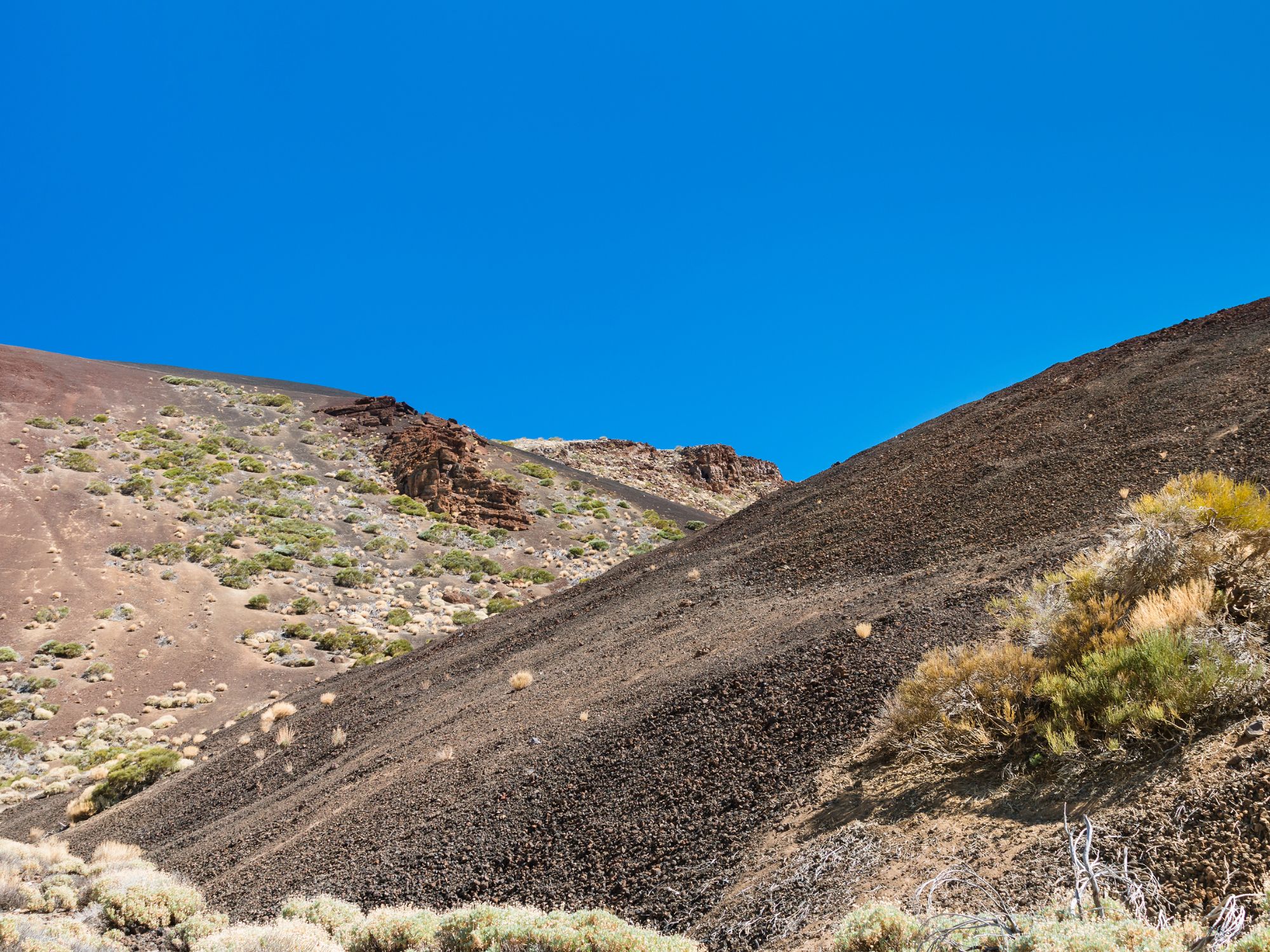 Naturen når vi vandrer ved vulkanen Arenas Negras. Foto Viktors Farmor