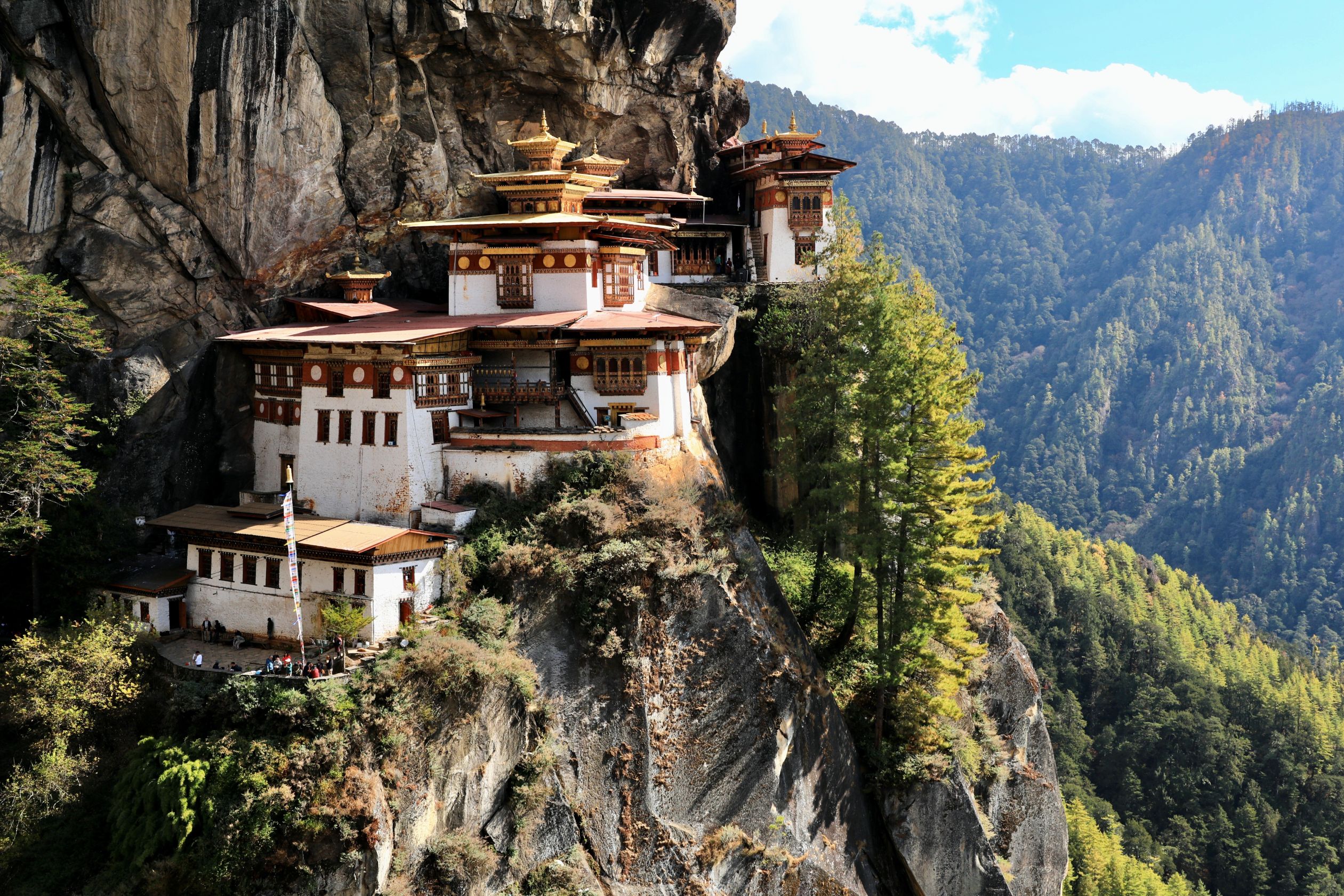 Tigerreden i 3.120 meters højde på en smal klippehylde 900 meter over den skovklædte dal for foden af bjerget. Foto Anders Stoustrup