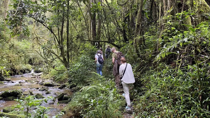 I Ranomafana nationalparken tager vi på vandretur i regnskoven. Foto Michael Høeg Andersen