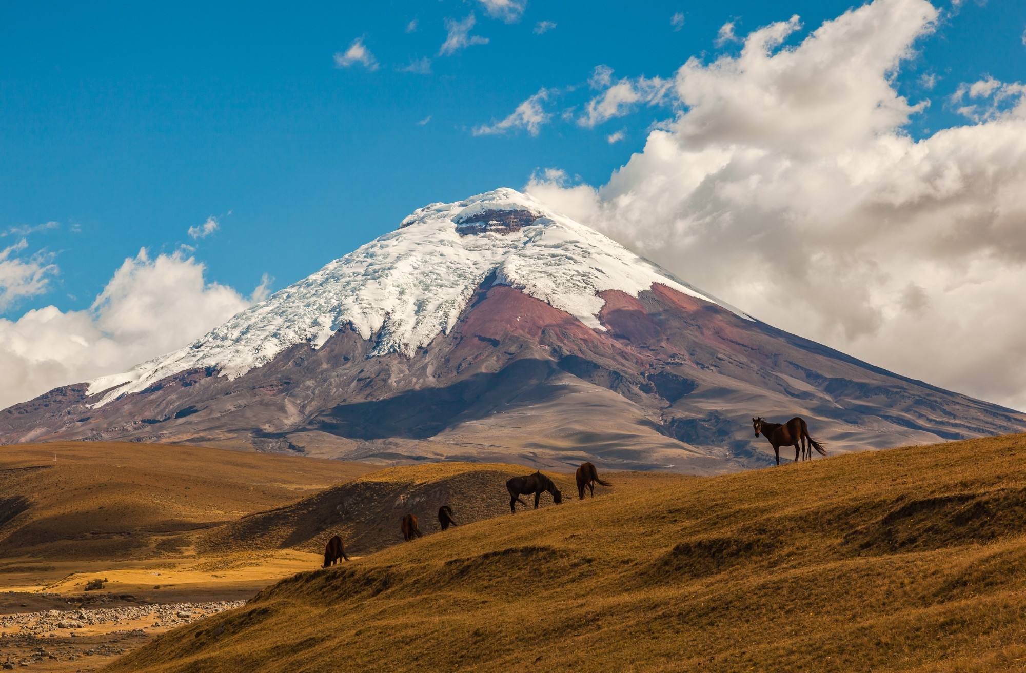 Vi udforsker området omkring Cotopaxi (5.897 m), der er verdens højeste, aktive vulkan. Foto Viktors Farmor