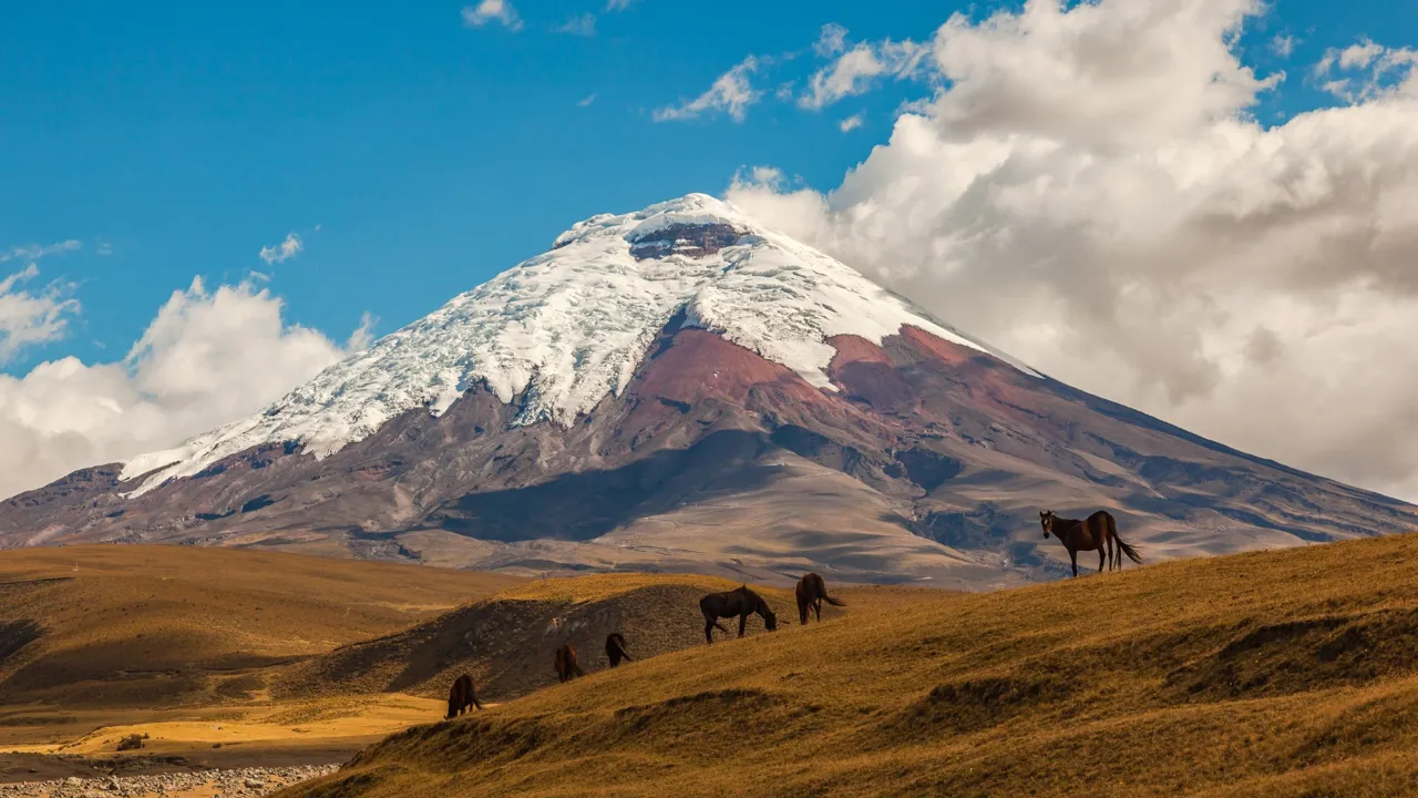 Vi udforsker området omkring Cotopaxi (5.897 m), der er verdens højeste, aktive vulkan. Foto Viktors Farmor