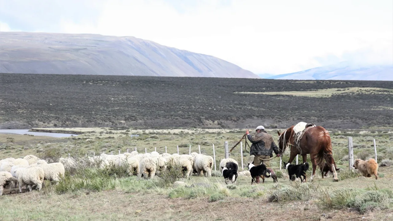 Gaucho ved Torres del Paine. Foto Michael Andersen