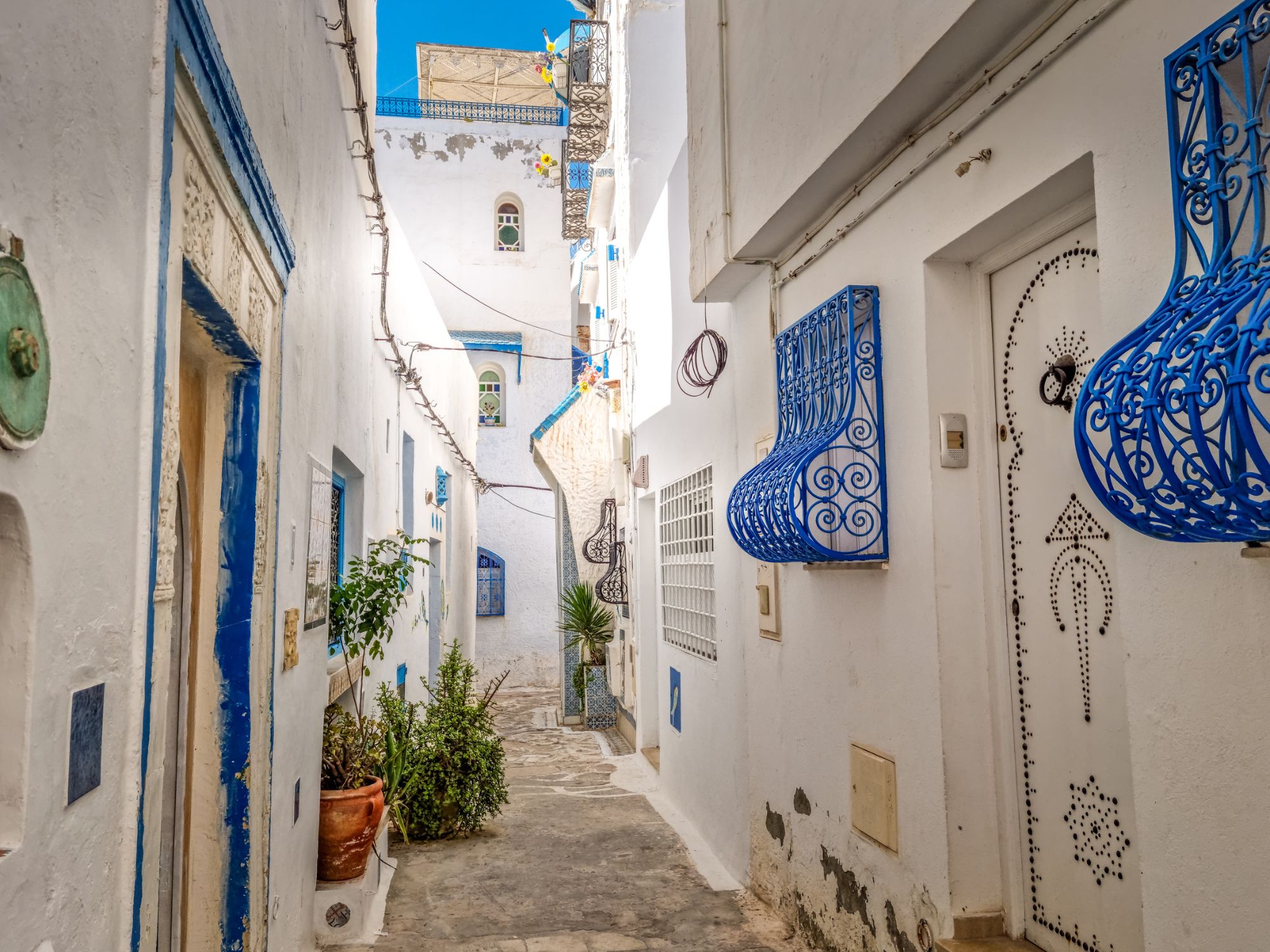 Hammamet med sine charmerende hvidkalkede huse, hyggelige gader og rolige stemning. Foto Viktors Farmor