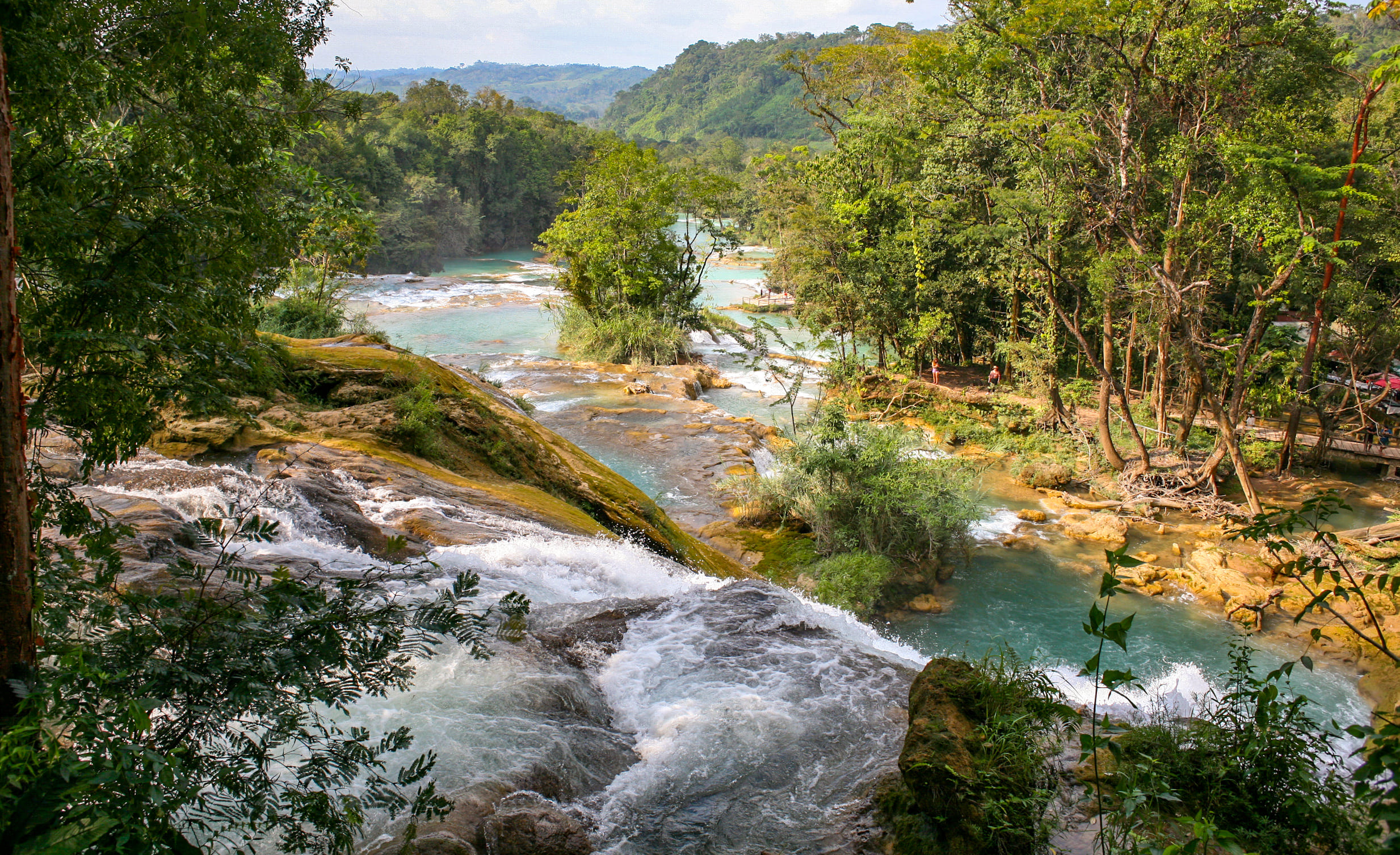 Agua Azul vandfaldene i Chiapas med turkisblåt vand omgivet af jungle. Foto Caroline Sølvsten