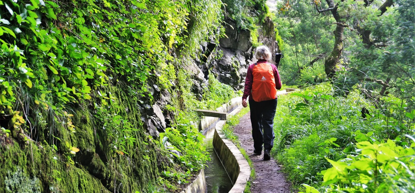 Levada de Canical. Foto Lene Bach Larsen