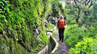 Levada de Canical. Foto Lene Bach Larsen